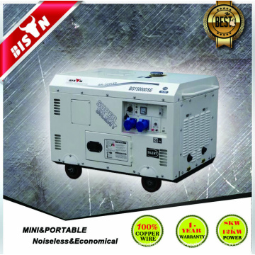 Bison China Zhejiang High Quality Reliable OEM Super Silent Diesel Generators Price 14kw 14KVA